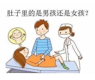 B超单有这个一般是女孩，看孕囊数据/形状/大小(圆形是女宝)