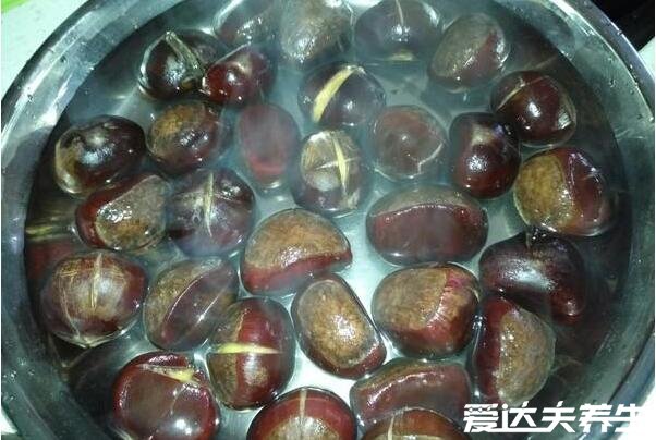 板栗怎么去皮和壳，选择合适的品种/划个口子用开水煮