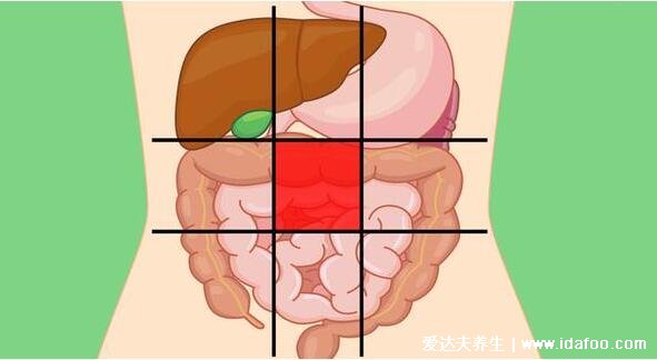 肠梗阻疼痛部位图片，肚脐周围疼/腹胀不排气不排便(死亡率10%)