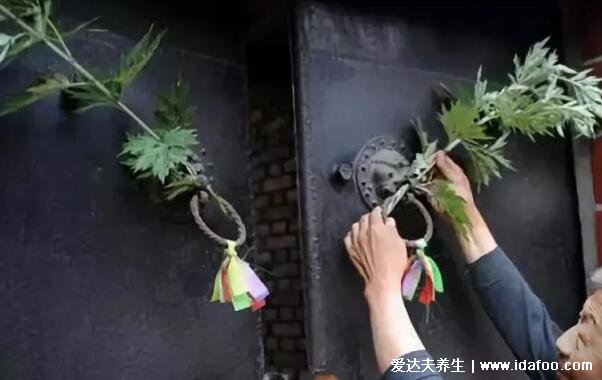 端午节门上挂艾草寓意什么意思，招百福/驱鬼辟邪/驱虫防病