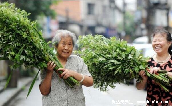 端午节门上挂艾草寓意什么意思，招百福/驱鬼辟邪/驱虫防病