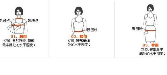 女孩子三围是哪三围，分别是胸围/腰围/臀围(女生标准三围对照表)