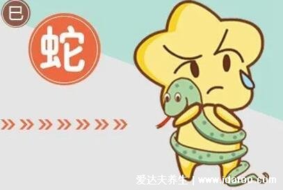 什么蛇是苦命蛇，6月份/3月份/9月份/11月份的属蛇人(不同运势分析)