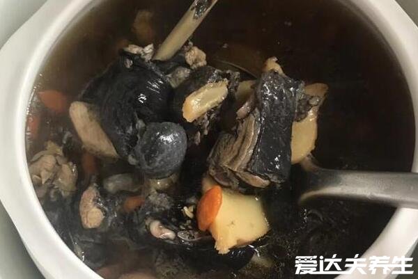 乌鸡汤怎么炖最有营养，刚杀的活鸡先冷冻再焯水/冷水下锅(5个细节)