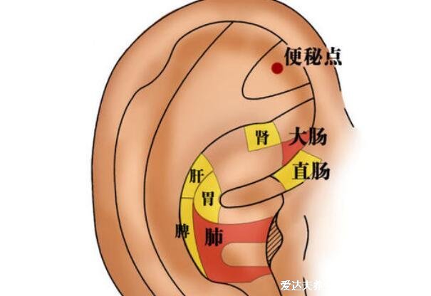 5个1分钟快速拉出大便的方法，喝一勺植物油比开塞露还有效