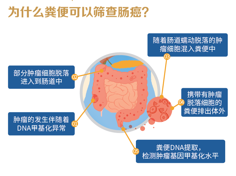 八成结直肠癌患者首次确诊即中晚期？这些肠癌信号你知道多少