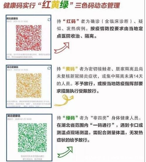 红码一般几天后会转为绿码，提交申诉24小时内( 微信申报方法要注意)