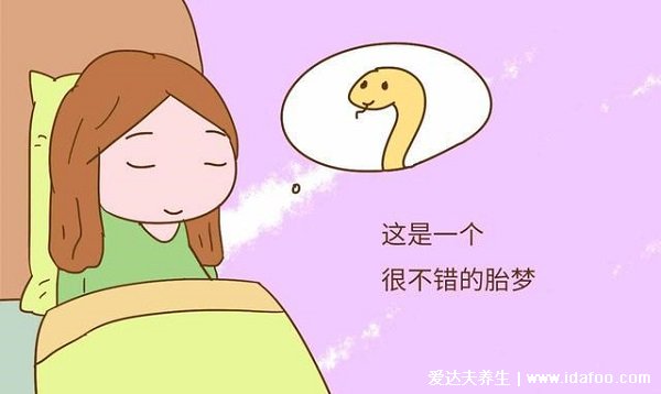 九个最准怀男孩胎梦，梦见黑蛇宝宝可能是男孩（白蛇是女孩）