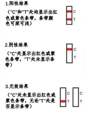 抗原检测两条杠什么意思，是阳性但不意味确诊(需核酸确认)