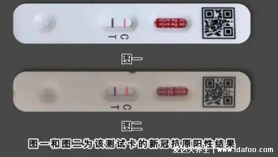 抗原检测怎么上传到健康码，微信支付宝小程序操作步骤图解