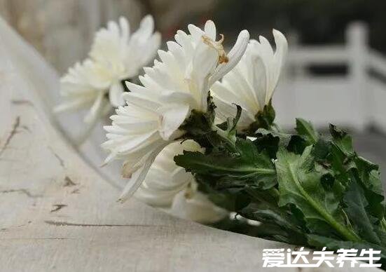 农历七月十五鬼节出生的女孩，为天煞孤星与大福气者配之可破解