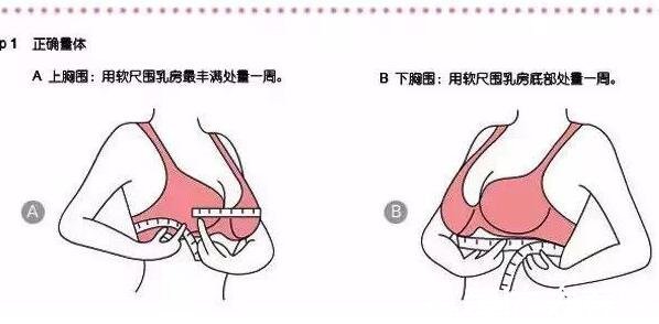 内衣abcd罩杯怎么计算区分大小，上下胸围差决定罩杯的尺寸