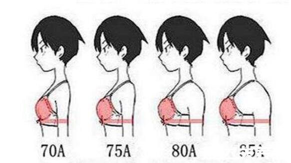 内衣abcd罩杯怎么区分大小，上下胸围之决定ABCD罩杯