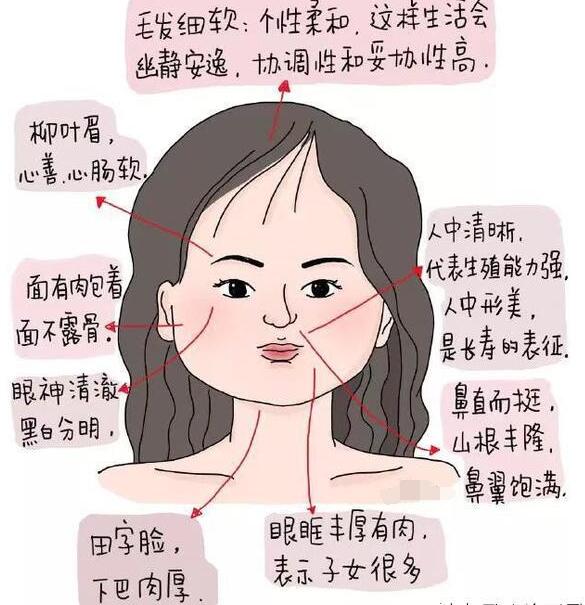 女人极贵的面相和体相，鼻梁挺直额头饱满的女人标准旺夫相