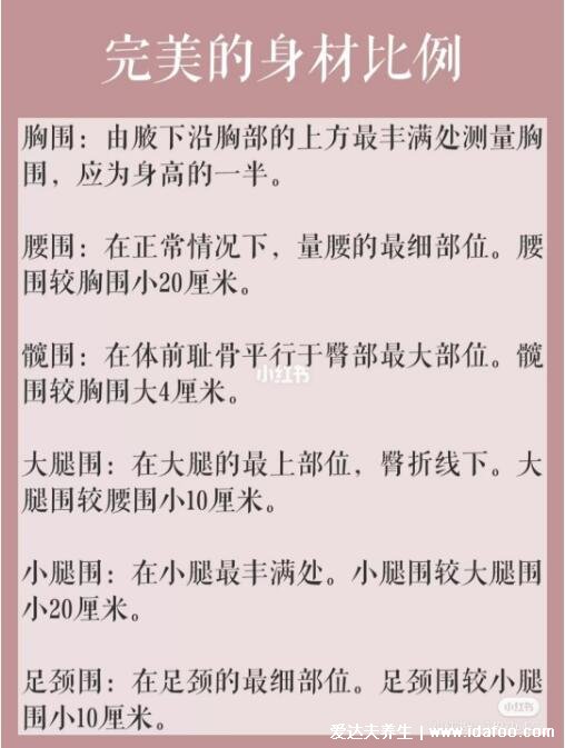 女生标准三围对照表，完美三围比例3:2:3前凸后翘(附罩杯尺寸)