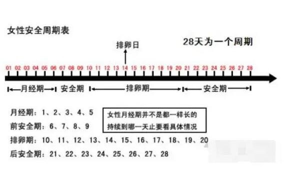 排卵期怎么算才最准确，3种方法计算排卵期(一图看懂)