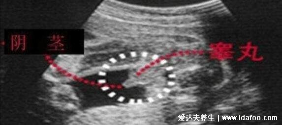 清宫表2022生男生女图准确性是多少，50%无科学依据(附准确率100的生男生女公式)