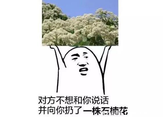 石楠花为什么叫最污花，花香像极男性精子味