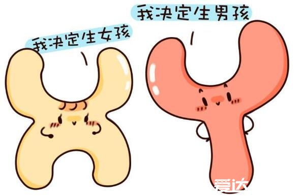 受孕生男孩的三个最佳时间点，在女性排卵期内选择最佳时间及受孕季节