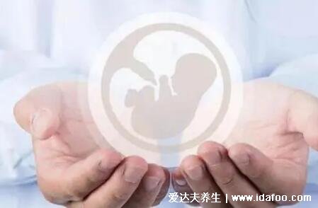 试管婴儿可以做双胞胎吗，可以且几率比自然受孕高