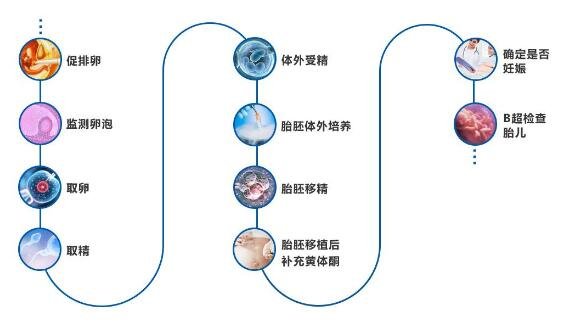 试管婴儿怎么做的全过程，有图一下子看懂(取卵要做好心理准备)