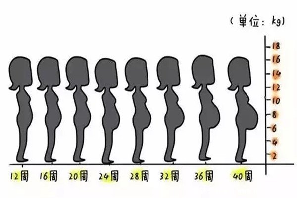 胎儿发育过程图1至10个月，每个月宝宝变化图解(18到20周胎动)