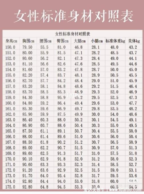 臀围怎么量标准图，软尺放在在耻骨联合和背后臀大肌最凸处