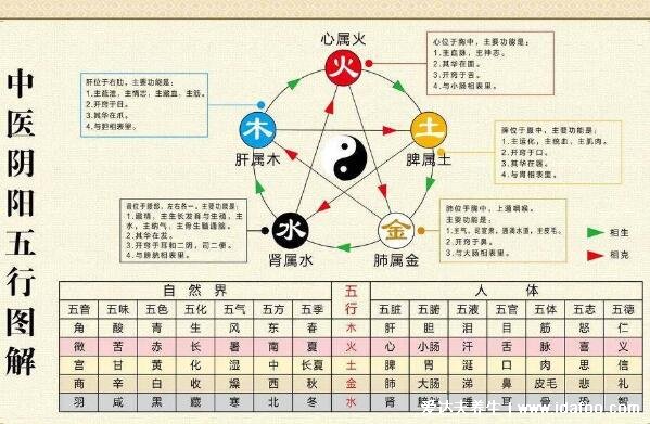 五行五脏六腑相生相克顺口溜，五脏与五行之间的相生关系