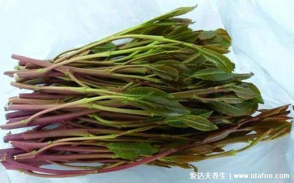 新型毒品阿拉伯茶图片，外形像茶叶和苋菜千万别碰