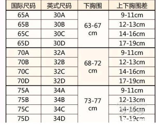 胸罩ABCD尺码表，上下胸围差决定罩杯的尺寸