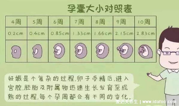 一分钟看懂孕囊大小对照表，生男生女其实看孕囊很准