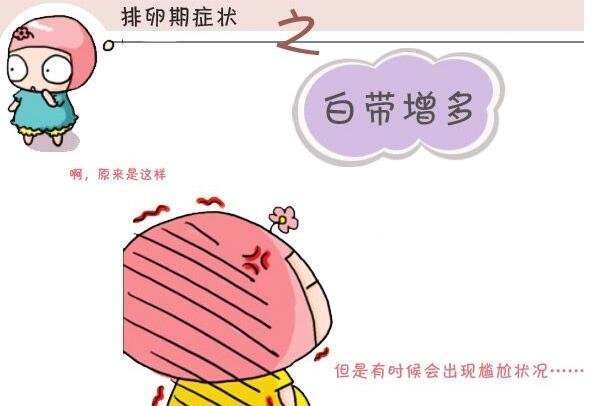 月经干净了第几天排卵，下次来月经的前14天(怀孕概率25%)