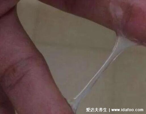 怎么看内裤知道排卵了，水分多拉丝度好呈蛋清状易受孕