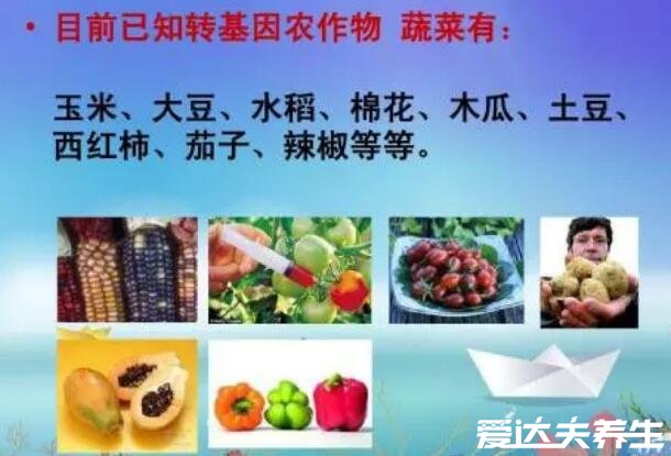 转基因是什么意思，转基因食品的4大危害