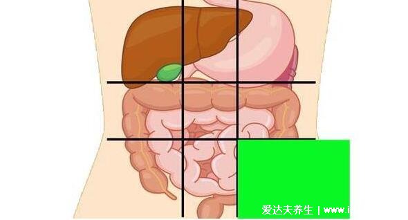 最全左腹部疼痛对照表，左中腹部的疼痛是肾疼不要和背痛混淆