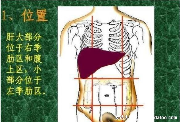 肝病的七个征兆，食欲减退/疲倦乏力/黑眼圈严重等要注意