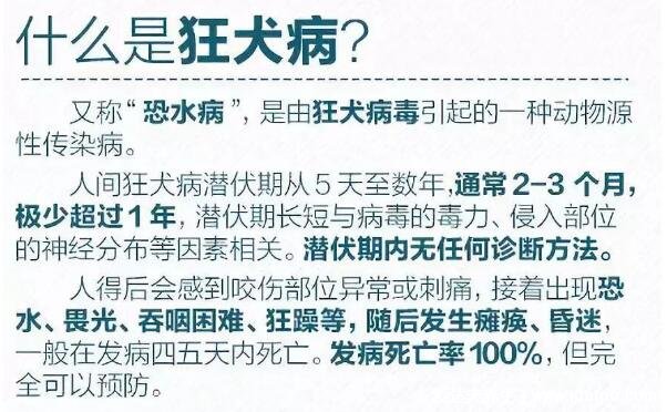 狂犬病的潜伏期是多久，1-3个月极少数超过一年/病死率100%(附发病症状)