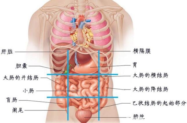 盆腔炎有2个明显症状，分别是白带增多/下腹疼痛(多发已婚女性)