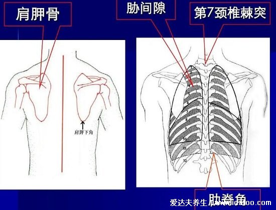 肾结石会引起身体哪个部位疼痛图片，腹痛/腰痛(肾疼腰疼区别图)