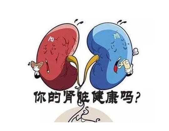 肾阴虚和肾阳虚的区别，睡眠/气色/小便/体型体重皆不相同