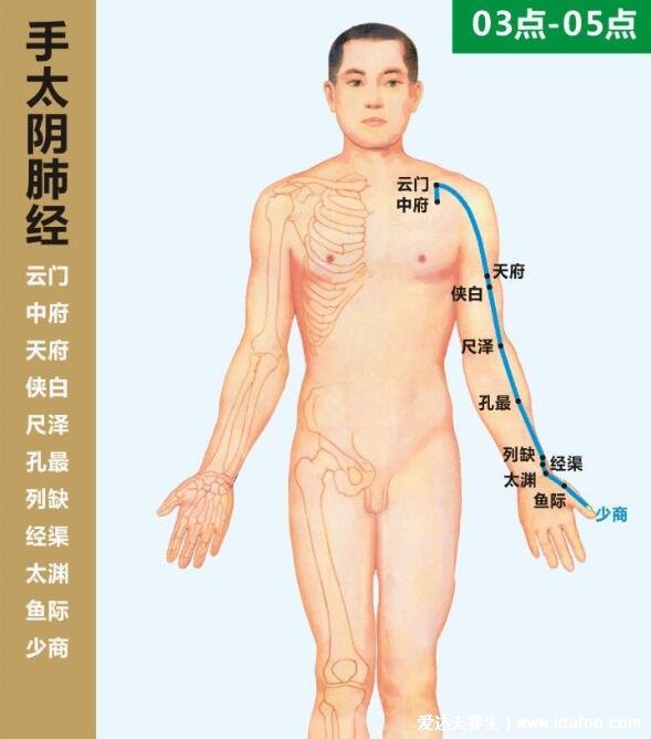 手部反射区图解与疾病高清图大全，手部6大经络清晰图片