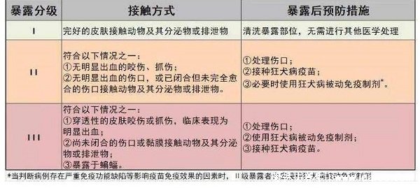 怎样判断用不用打狂犬疫苗，要看伤口程度二级三级要打(10种情况不用)