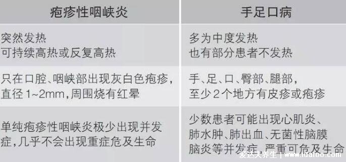 手足口病症状图片及发展过程演示图，长红色丘疹和疱疹伴随低烧