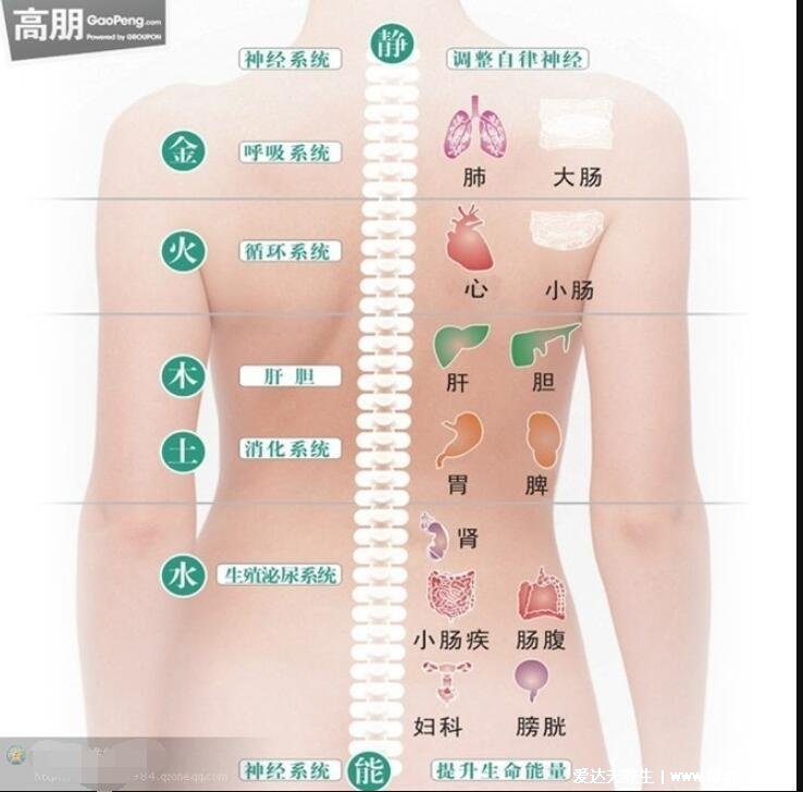 注意后背疼的原因，5个疾病会引起后背疼(警惕风湿病以及心脏问题)