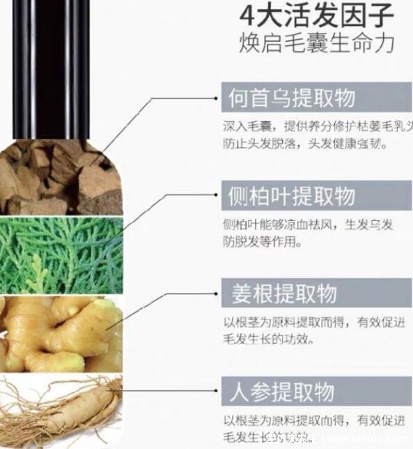 仁和匠心防脱育发液效果怎样，央视已曝光大家擦亮眼睛