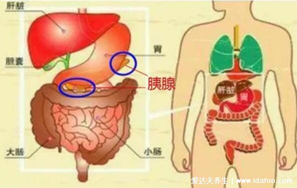 胰腺癌的早期症状，8类高风险人群出现这6大症状要警惕