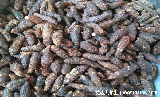 香附的功效与作用及食用方法，能缓解月经不调(可煮粥或泡水)