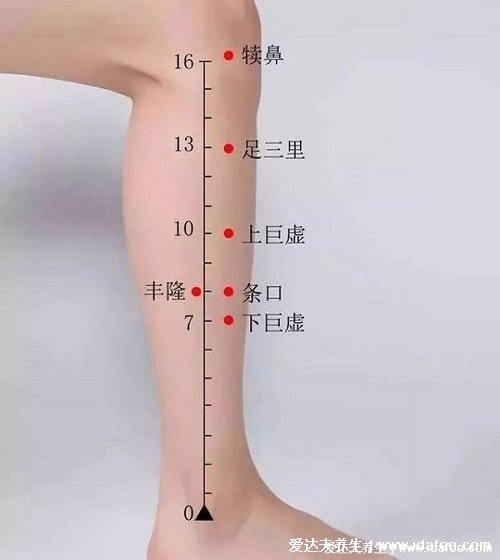 找足三里最笨的方法，足三里的准确位置图片(距离膝眼4指距离)