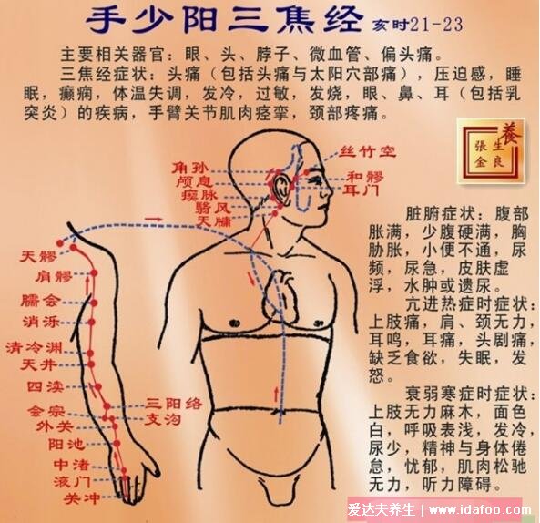 拍打三焦经的正确方法，从肩膀拍到手掌拍打3-5分钟(视频教程)