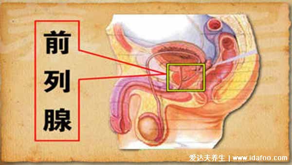 前列腺炎一杯水自测方法，其实三杯尿更可靠（专业医生推荐）